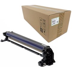 Ricoh D1862239 - optická jednotka, color (farebná)