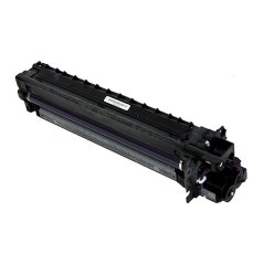 Ricoh D2970121 - optická jednotka, black (čierna)